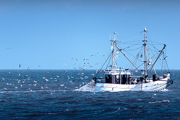 Aquaculture