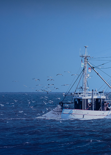 fishing