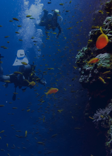 fish management